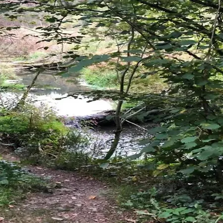 Σαλέ In Forested Sourbrodt