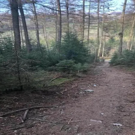 Σαλέ In Forested *