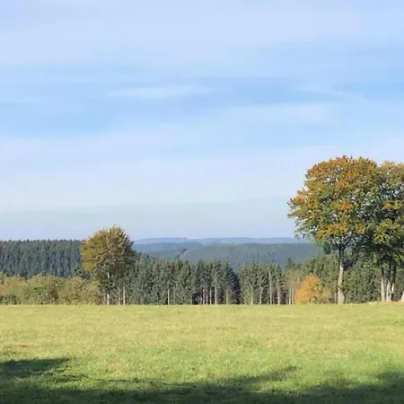 Chalet Spacious Chalet With Private Garden In Waimes *