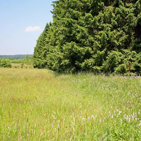 In Forested